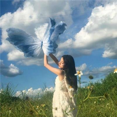 驶向达尔文